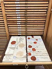 Siegelabdruck_Schrank_web